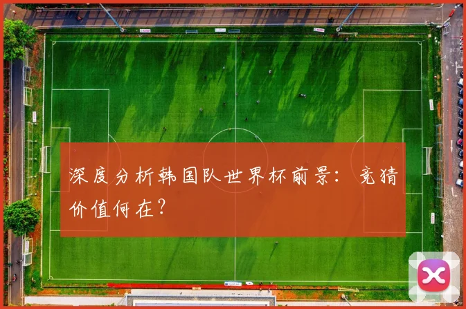 深度分析韩国队世界杯前景：竞猜价值何在？