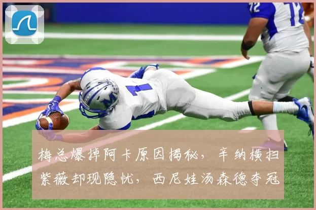 梅总爆掉阿卡原因揭秘，辛纳横扫紫薇却现隐忧，西尼娃汤森德夺冠