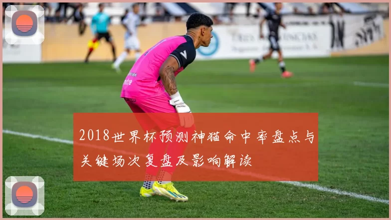 2018世界杯预测神猫命中率盘点与关键场次复盘及影响解读