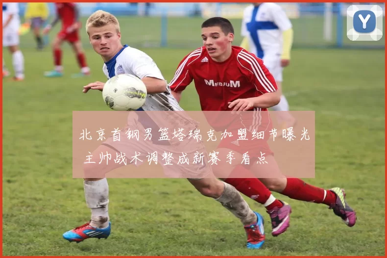 北京首钢男篮塔瑞克加盟细节曝光 主帅战术调整成新赛季看点