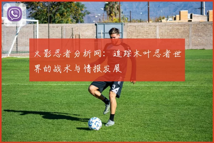 火影忍者分析网：追踪木叶忍者世界的战术与情报发展