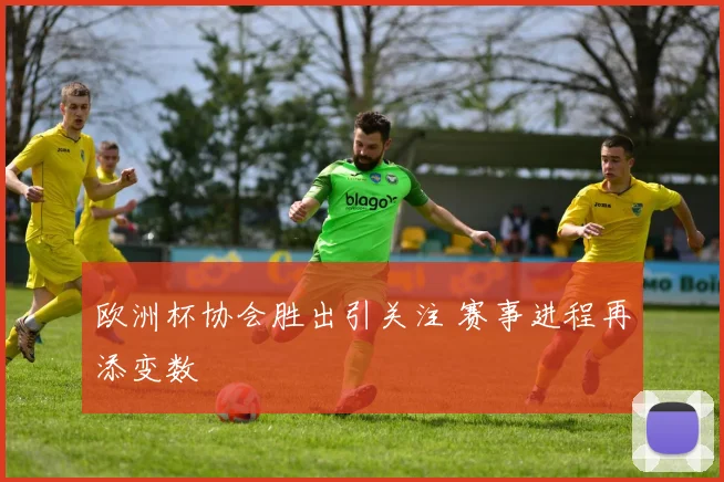 欧洲杯协会胜出引关注 赛事进程再添变数