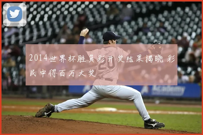 2014世界杯胜负彩开奖结果揭晓 彩民中得百万大奖